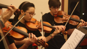 orch violin section